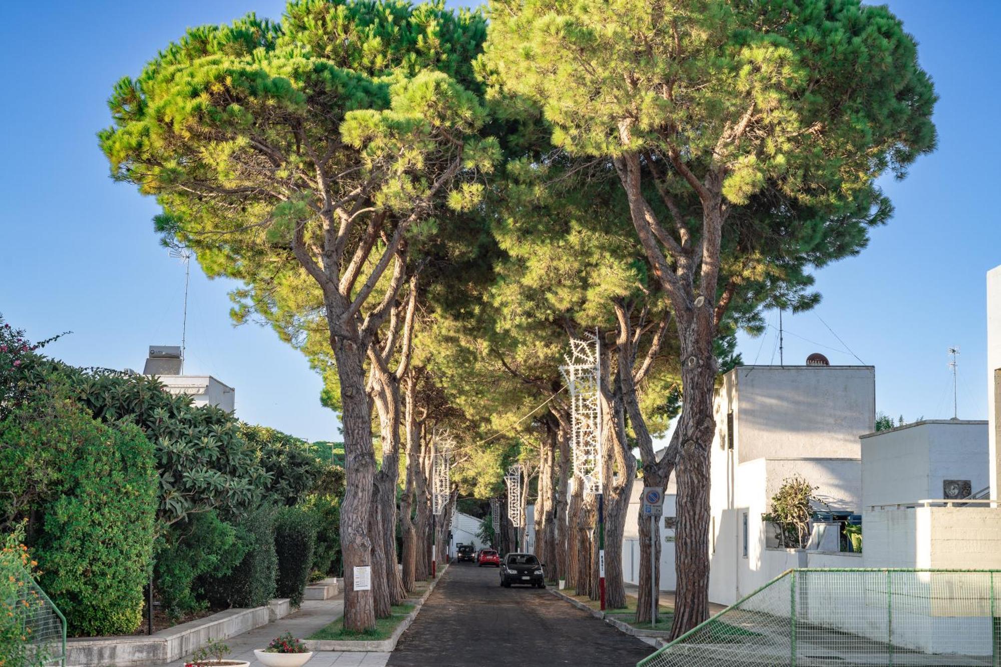 Rosso Tramonto Apartment Otranto Exterior photo